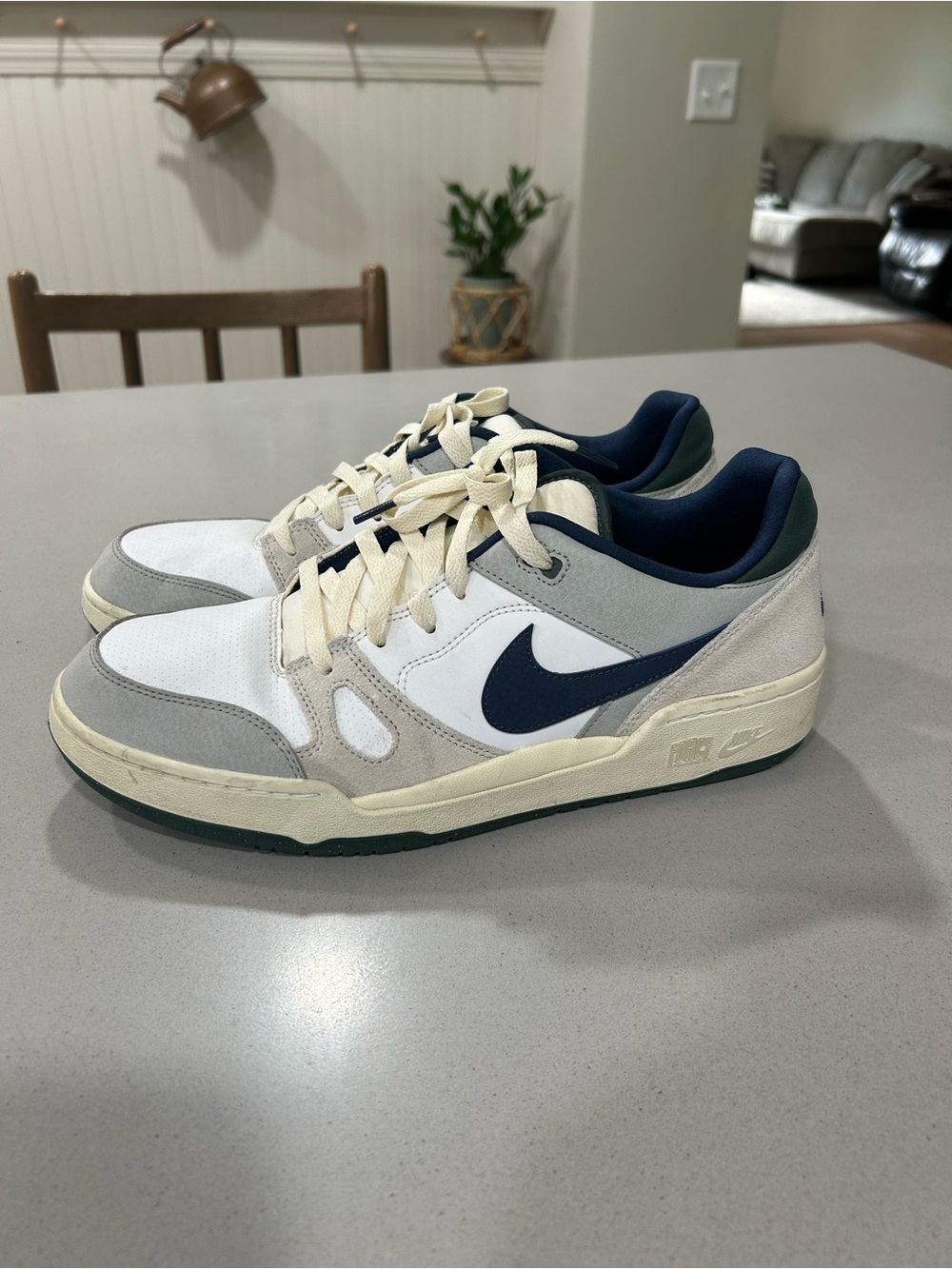 Nike Men’s Full Force Low